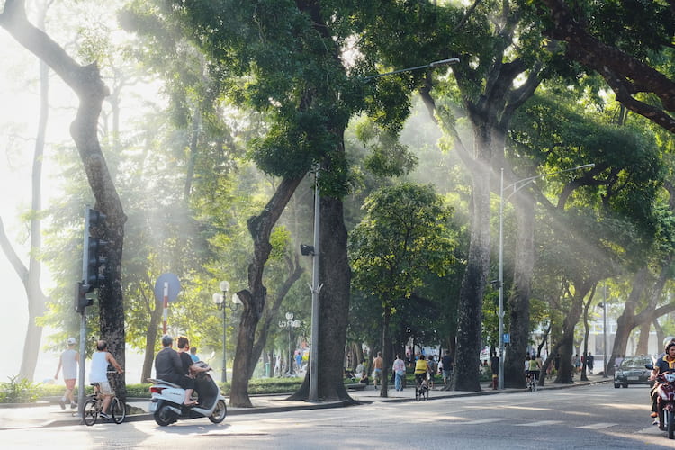 9D COMPLETE VIETNAM YEAR END JOURNEY 2026